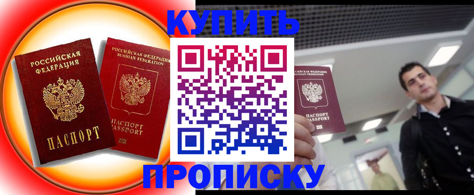 временная прописка в Михайловке